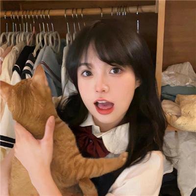 完美候选人